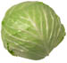 cabbage_5.jpg (2084 bytes)
