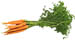 carrots3.jpg (1661 bytes)