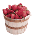 strawberries.gif (4993 bytes)