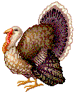 turkey201.gif (5756 bytes)